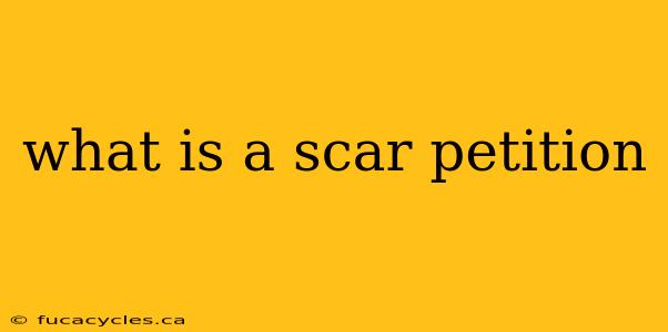 what is a scar petition