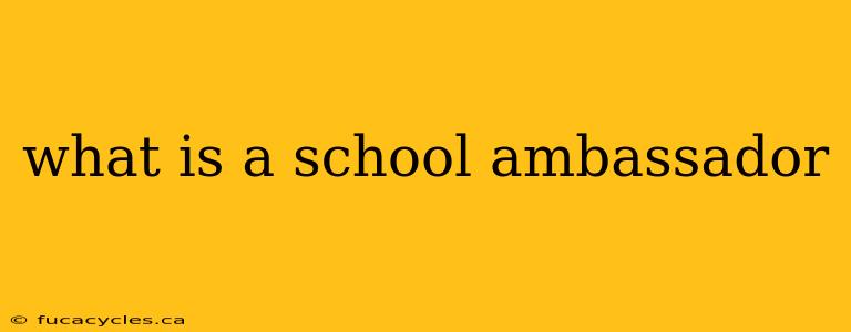 what is a school ambassador