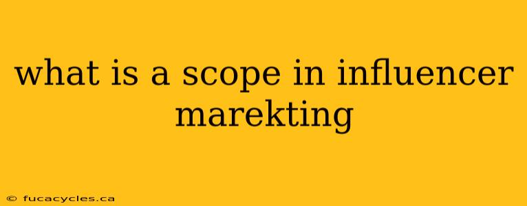 what is a scope in influencer marekting