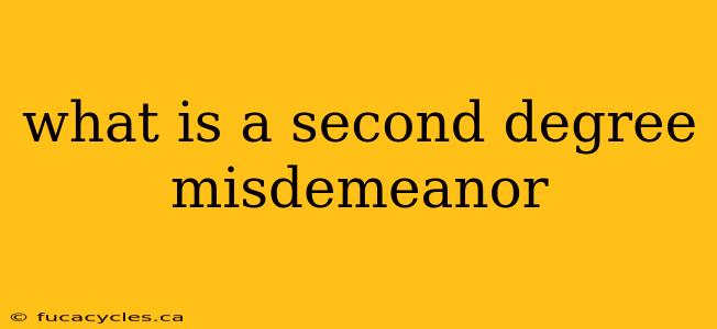 what is a second degree misdemeanor