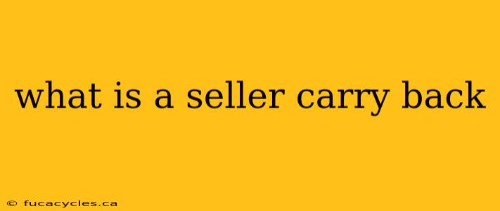 what is a seller carry back