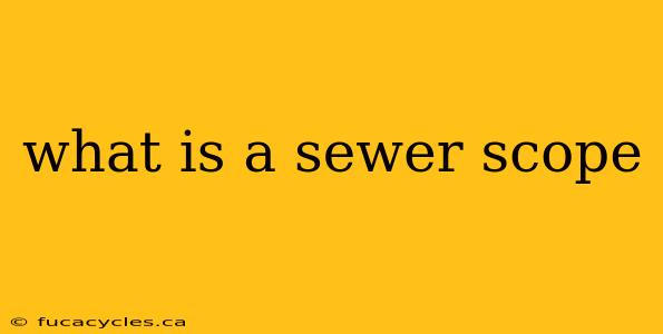 what is a sewer scope