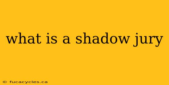 what is a shadow jury