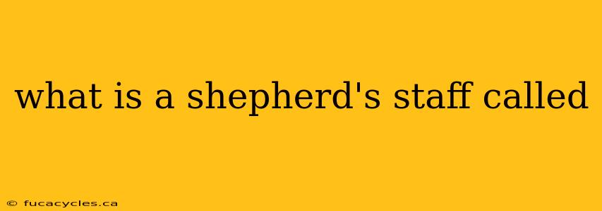 what is a shepherd's staff called