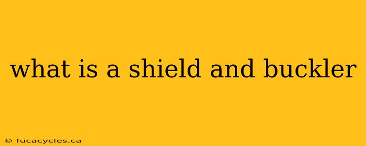 what is a shield and buckler