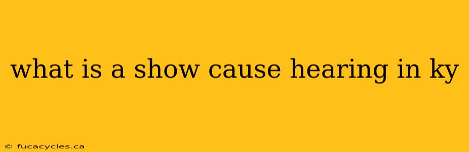 what is a show cause hearing in ky