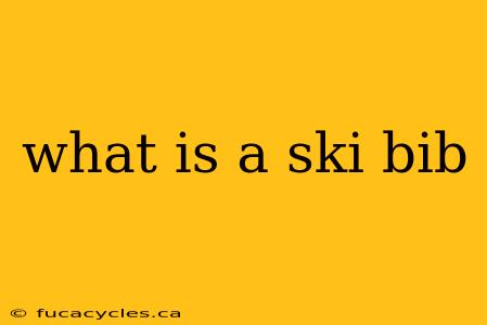 what is a ski bib