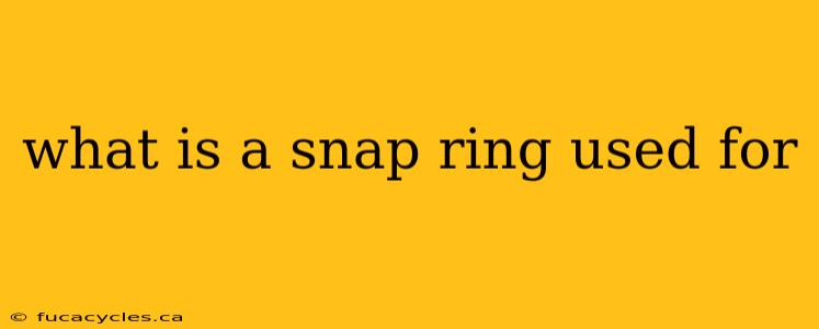 what is a snap ring used for