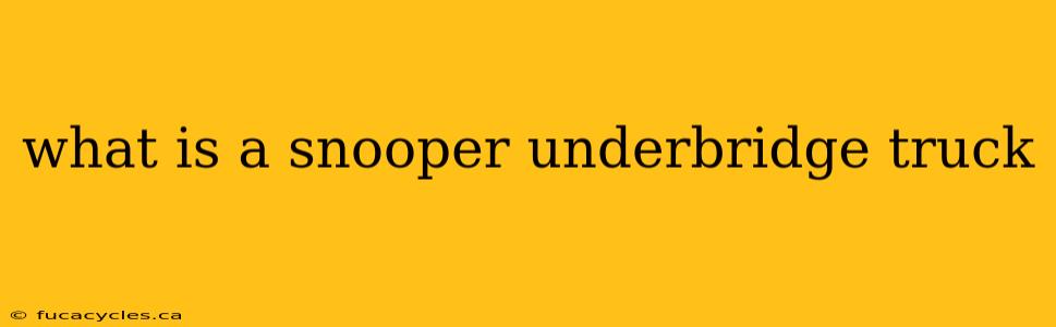 what is a snooper underbridge truck