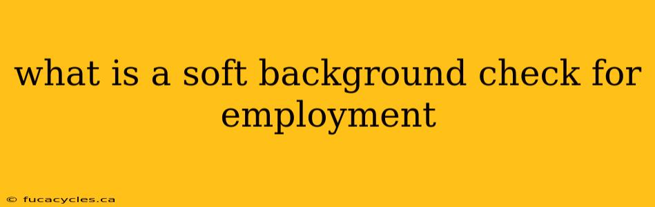 what is a soft background check for employment