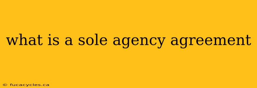 what is a sole agency agreement