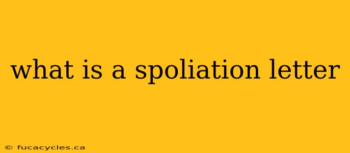 what is a spoliation letter