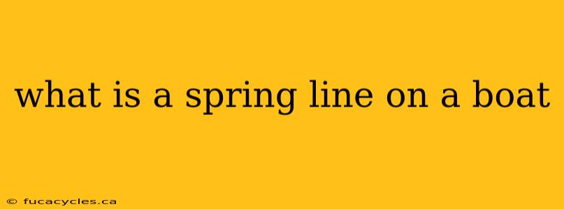 what is a spring line on a boat