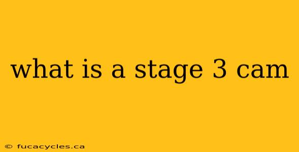 what is a stage 3 cam