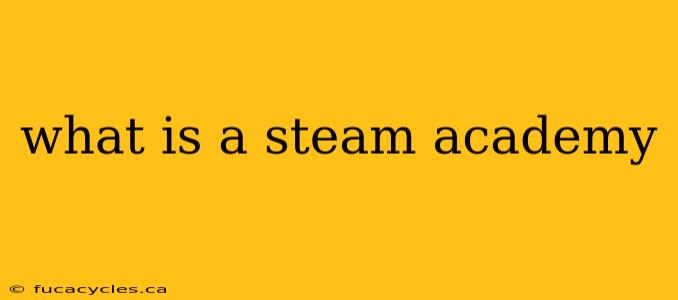 what is a steam academy