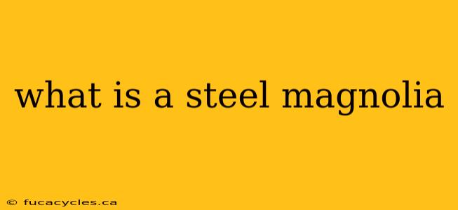 what is a steel magnolia