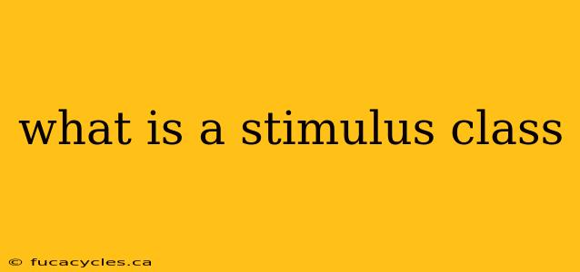 what is a stimulus class