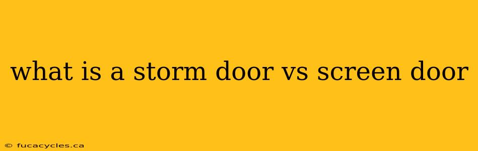 what is a storm door vs screen door