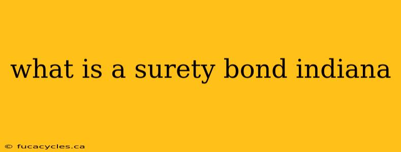 what is a surety bond indiana