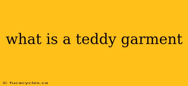 what is a teddy garment