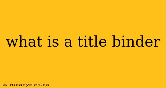 what is a title binder