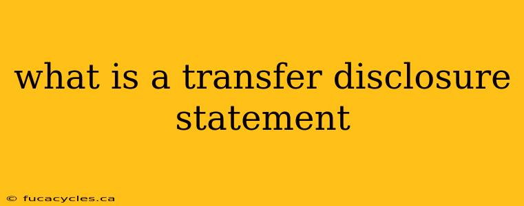 what is a transfer disclosure statement