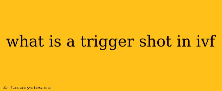 what is a trigger shot in ivf