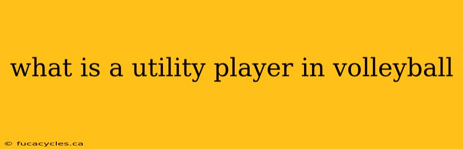 what is a utility player in volleyball