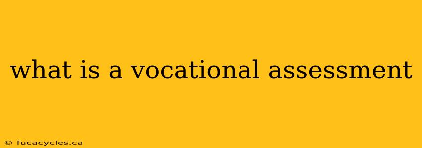 what is a vocational assessment