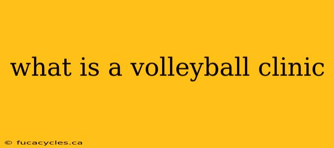 what is a volleyball clinic