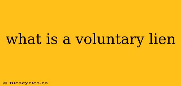 what is a voluntary lien