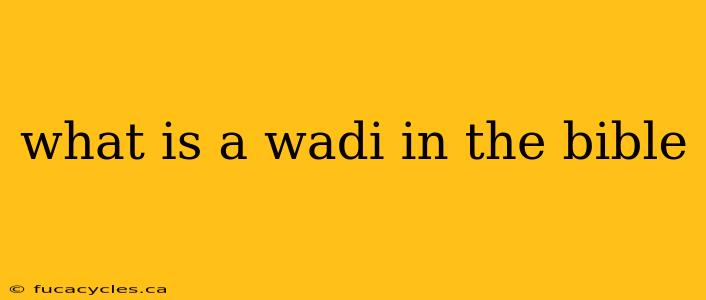 what is a wadi in the bible