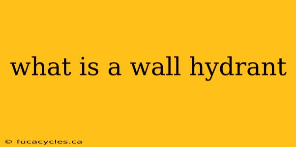 what is a wall hydrant