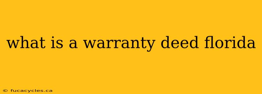 what is a warranty deed florida