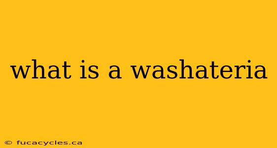 what is a washateria