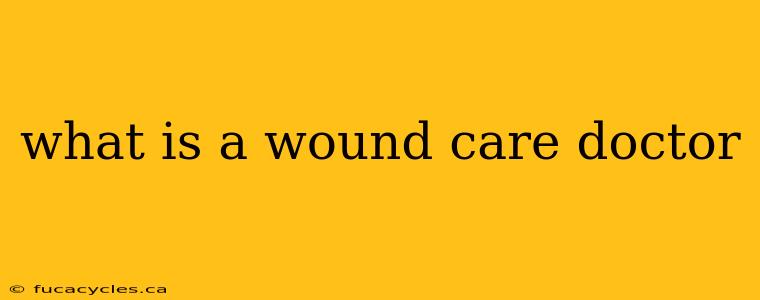 what is a wound care doctor