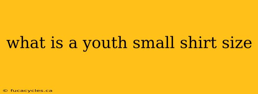 what is a youth small shirt size