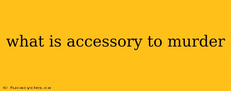 what is accessory to murder