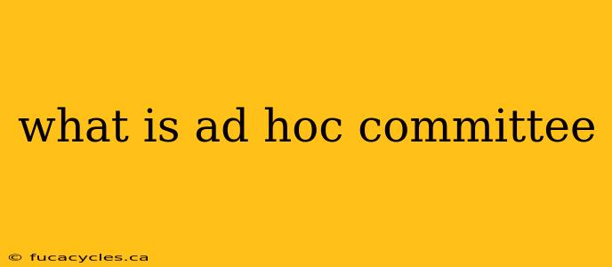 what is ad hoc committee