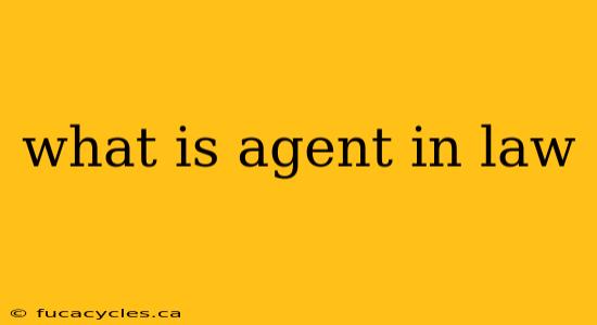 what is agent in law