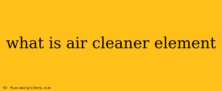 what is air cleaner element