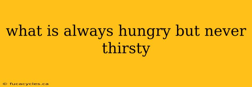 what is always hungry but never thirsty