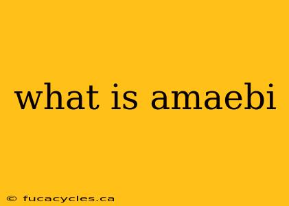 what is amaebi