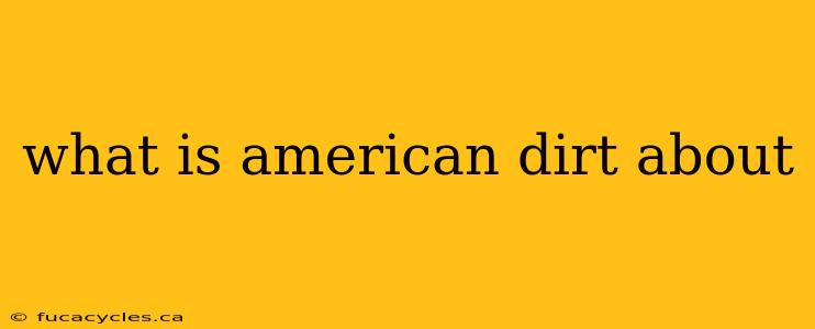 what is american dirt about