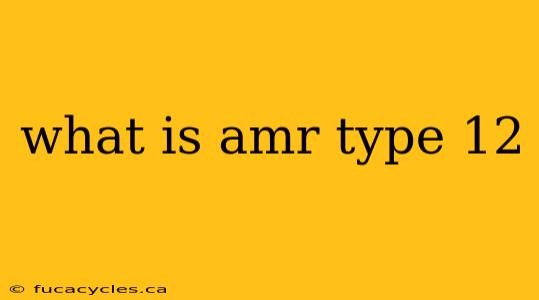 what is amr type 12