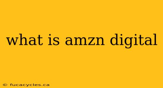 what is amzn digital