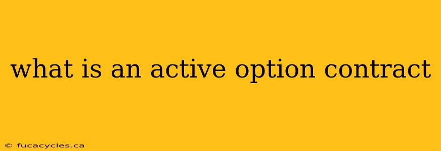 what is an active option contract