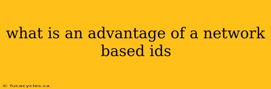 what is an advantage of a network based ids