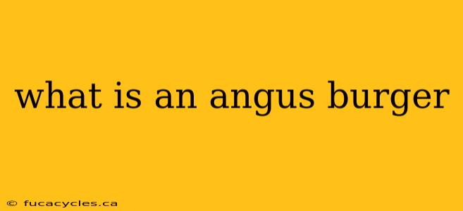 what is an angus burger