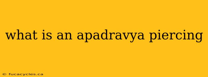 what is an apadravya piercing